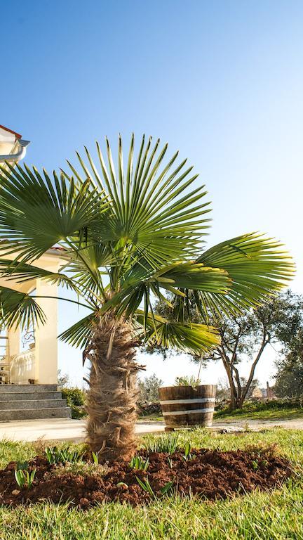 Guest House Croatia Fažana Dış mekan fotoğraf